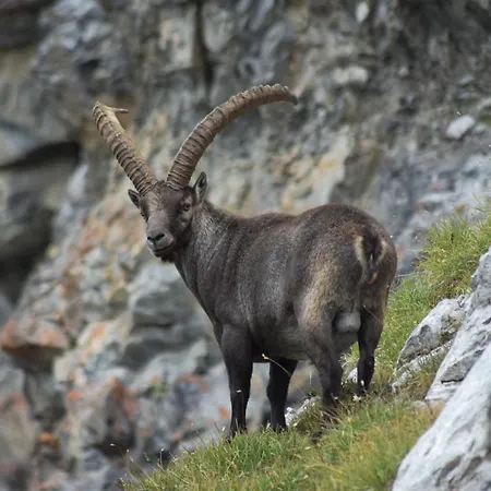 Dom wakacyjny Civico 11